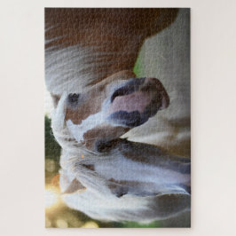 Puzzle Funny Horse Friends