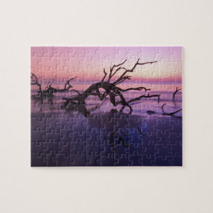Puzzle GA Jekyll Island, Tree graveyard en la playa en