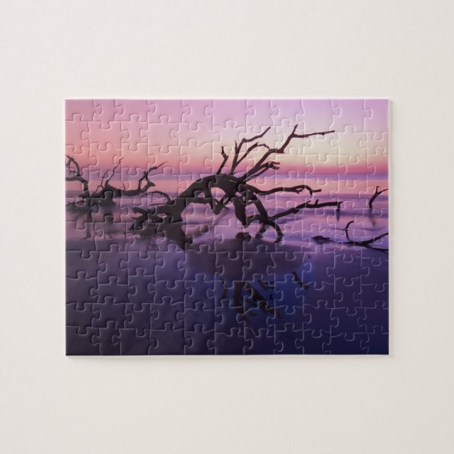 Puzzle GA Jekyll Island, Tree graveyard en la playa en (Horizontal)
