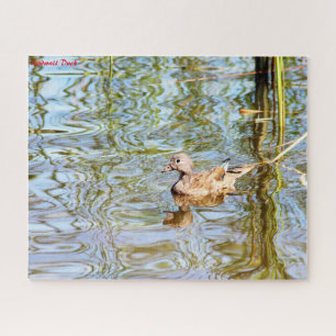 Puzzle Gadwall Duck