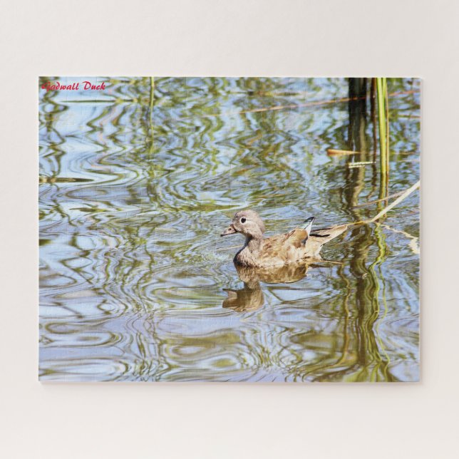 Puzzle Gadwall Duck (Horizontal)