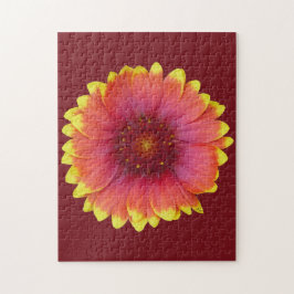 Puzzle Gaillardia 1