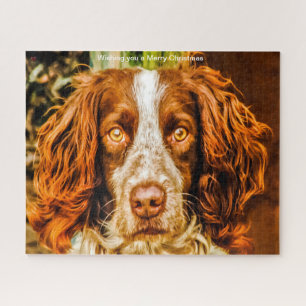 Puzzle Gales Springer Nuestra familia Mascota Jigsaw Puzz