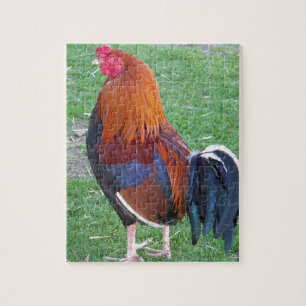 Puzzle Gallo