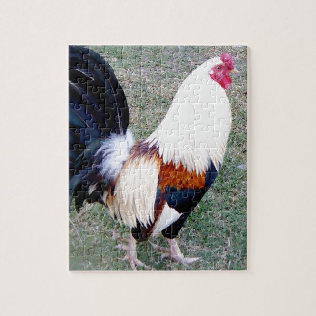 Puzzle Gallo de la bahía de Hawaii Hanauma (Vertical)