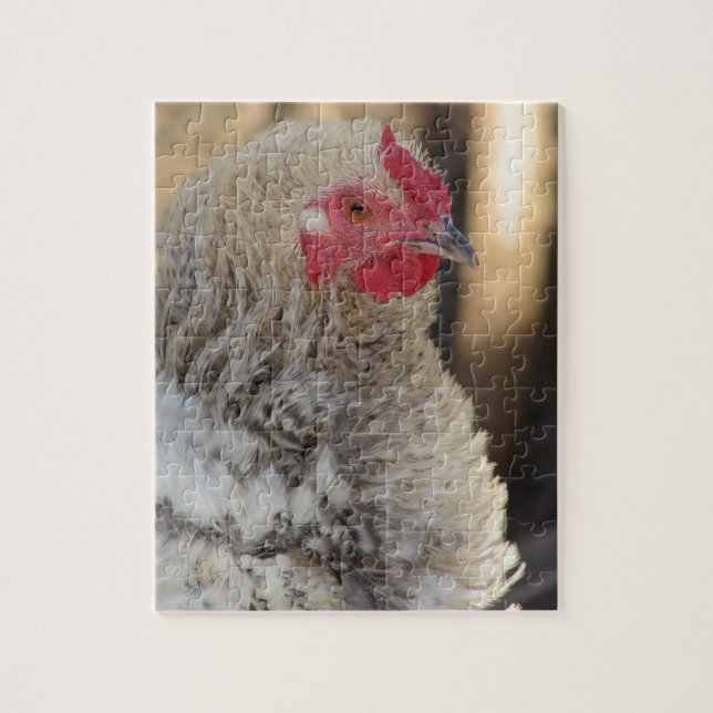 Puzzle Gallo Frizzle Adorable (Vertical)