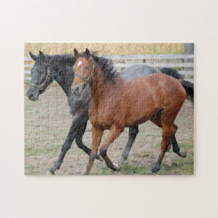Puzzle Gallopaje de caballos