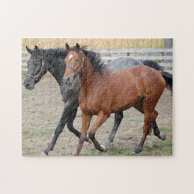 Puzzle Gallopaje de caballos (Horizontal)