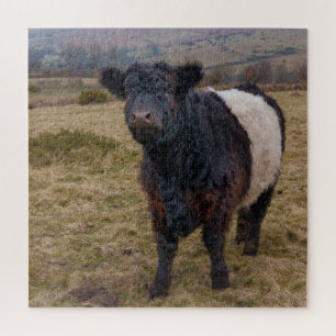 Puzzle Galloway alzado la voz orgulloso de Dartmoor Farml