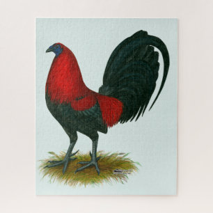 Puzzle Gamecock americano: Rojo marrón