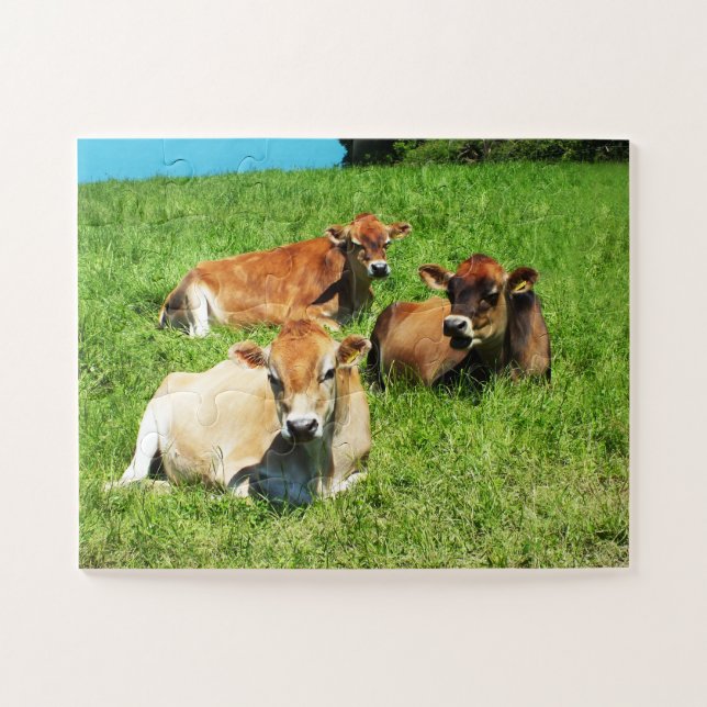 Puzzle Ganado bovina de Jersey (Horizontal)