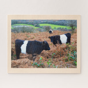 Puzzle Ganado ceñido de Galloway