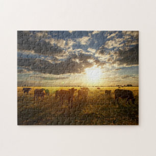 Puzzle Ganado en el campo, puesta del sol