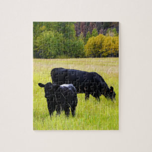 Puzzle Ganado negro de Angus que pasta en campo de hierba