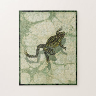 Puzzle Ganar toad en el agua
