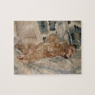 Puzzle Gandulear cocker spaniel