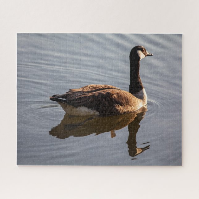 Puzzle Ganso canadiense en el lago (Horizontal)