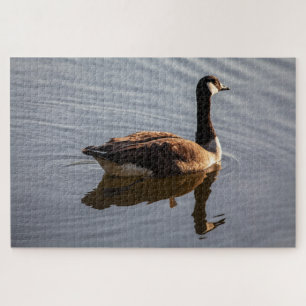 Puzzle Ganso canadiense en el lago