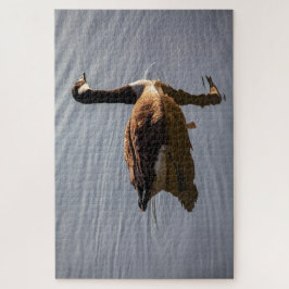 Puzzle Ganso canadiense en el lago