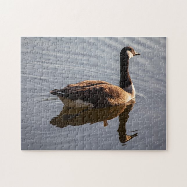 Puzzle Ganso canadiense en el lago (Horizontal)