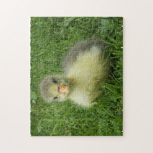 Puzzle ganso pequeño con hierba verde
