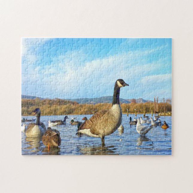 Puzzle Gansos canadienses. (Horizontal)