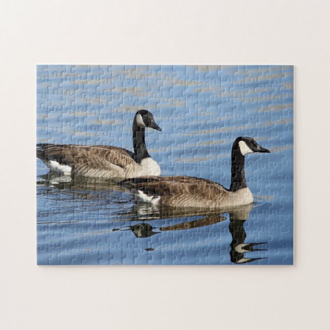 Puzzle Gansos en el agua (Horizontal)
