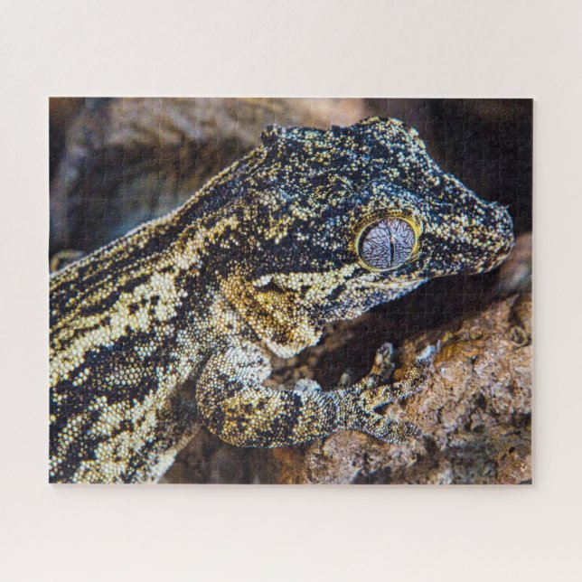 Puzzle Gargoyle Gecko Mascota Lizard (Horizontal)