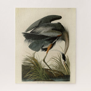 Puzzle Garza azul grande de Audubon Marjal Ave