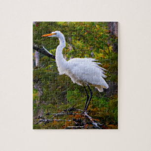 Puzzle Garza Blanca Florida