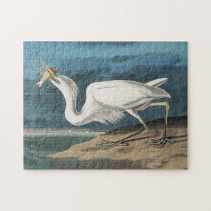 Puzzle Garza Blanca Grande de Audubon: Ave Costera Vintag