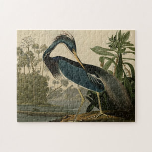 Puzzle Garza de Luisiana