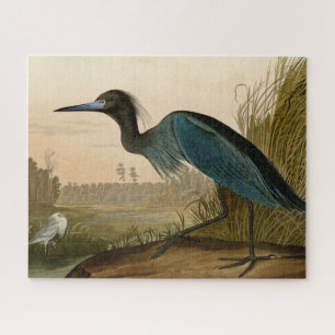 Puzzle Garza Grulla Azul Impresión de Audubon Arte Coster