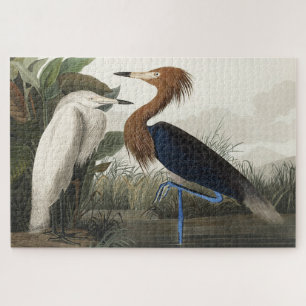 Puzzle Garza morada de los pájaros de América