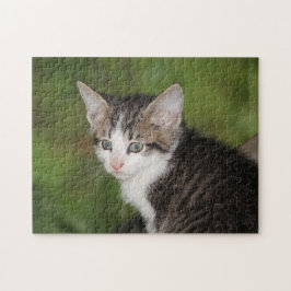 Puzzle Gatito