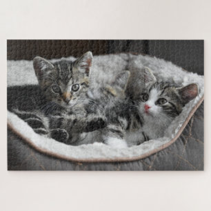 Puzzle Gatito adorable