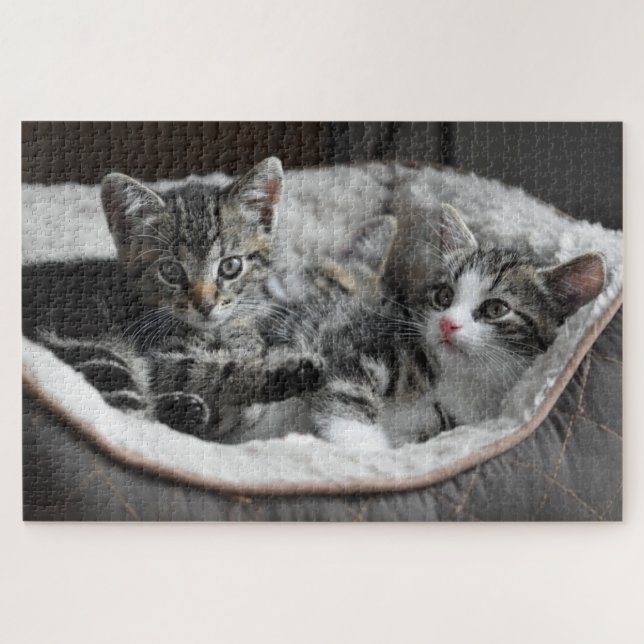 Puzzle Gatito adorable (Horizontal)