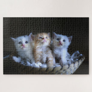 Puzzle Gatito Adorable
