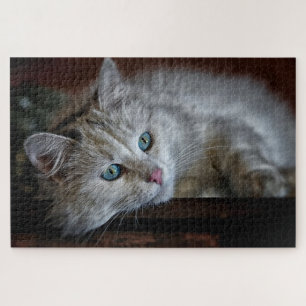 Puzzle Gatito adorable