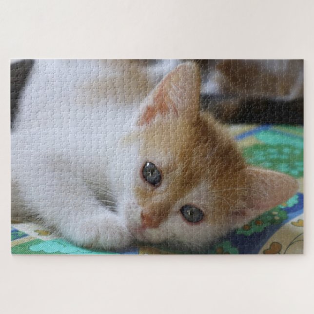 Puzzle Gatito Adorable (Horizontal)