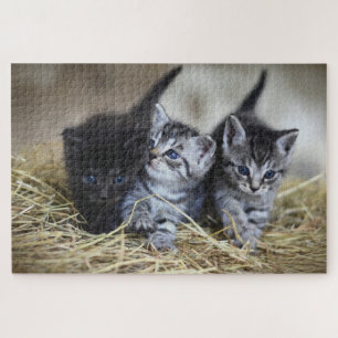 Puzzle Gatito Adorable