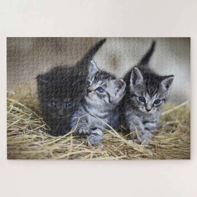 Puzzle Gatito Adorable (Horizontal)