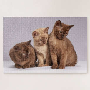 Puzzle Gatito Adorable