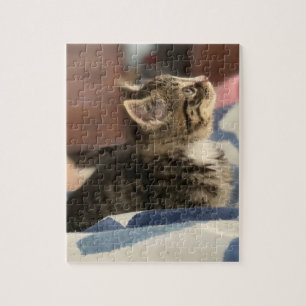 Puzzle Gatito Adorable Deja esta imagen o añade tu prop