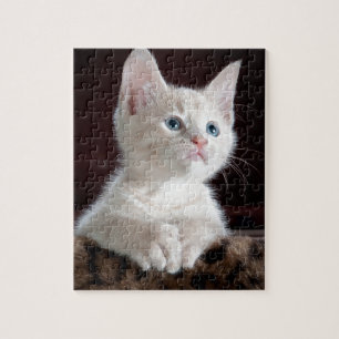 Puzzle Gatito Blanco Súper Lindo