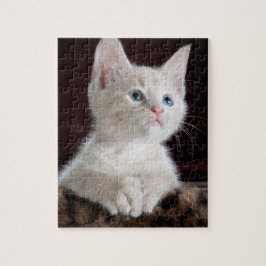 Puzzle Gatito blanco vulnerable