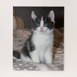 Puzzle Gatito blanco y negro