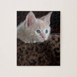 Puzzle Gatito crema con hermosos ojos azules