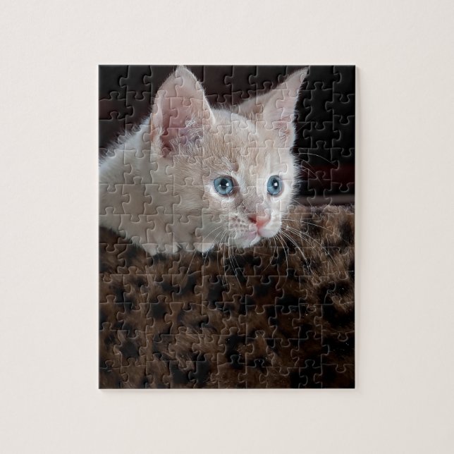 Puzzle Gatito crema con hermosos ojos azules (Vertical)