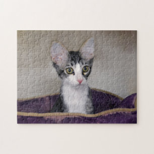 Puzzle Gatito de Tabby en una cama morada
